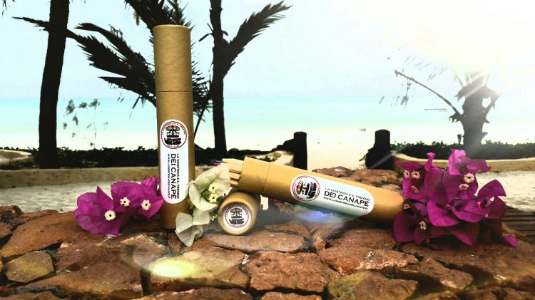 Ogni 5 punti di abbonamento un astuccio di matite colorate in omaggio!
